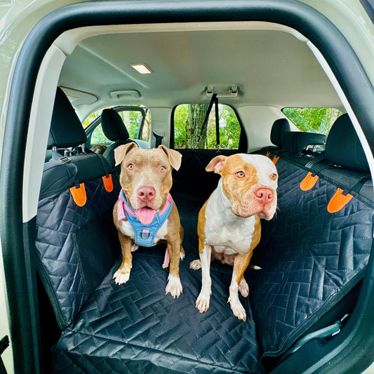 Dog Seat Cover with Hard Bottom Whisker Bark