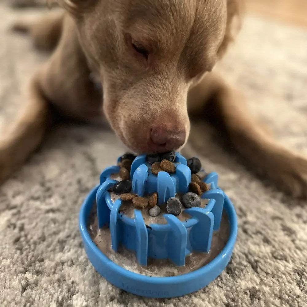 FreezLava Heavy-Duty Enrichment Chew Freezbone