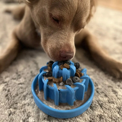 FreezLava Heavy-Duty Enrichment Chew Freezbone