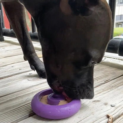 Freez Doughnut - Super Durable Treat Toy Freezbone