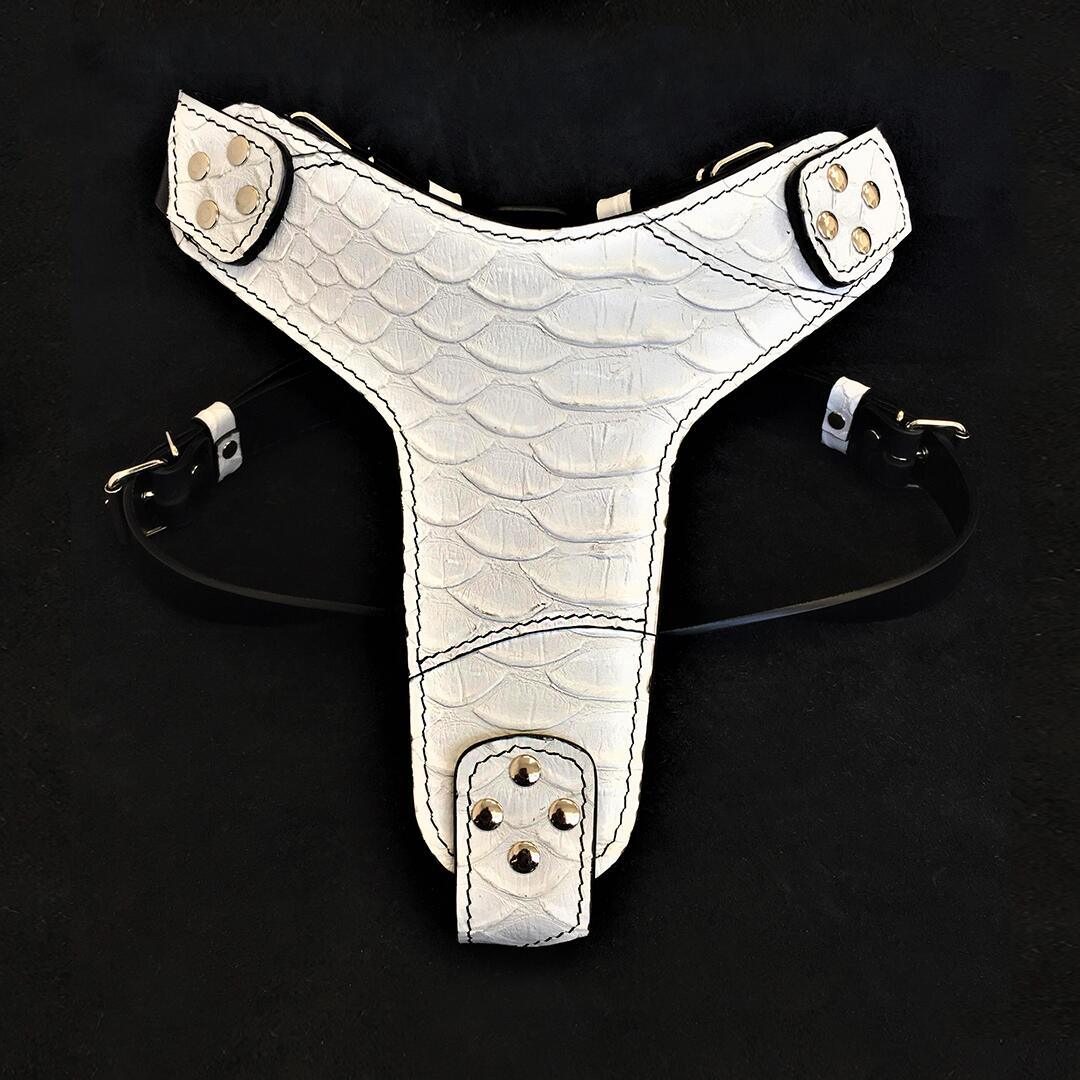 Bestia Dragon Scale Leather Dog Harness