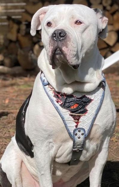 Bestia Dragon's Eye Leather Dog Harness – Limited Edition