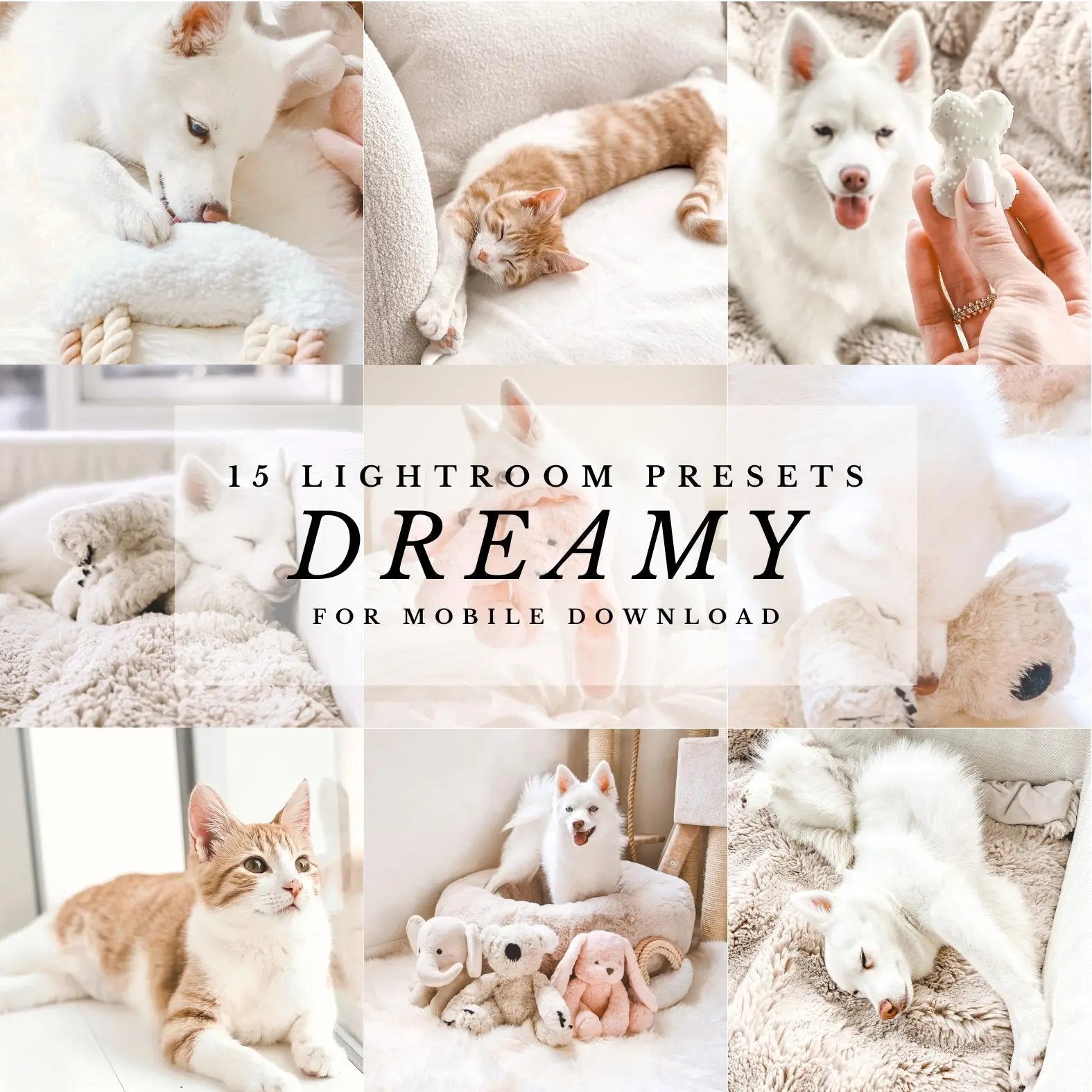 Dreamy Presets - K9 Outdoors