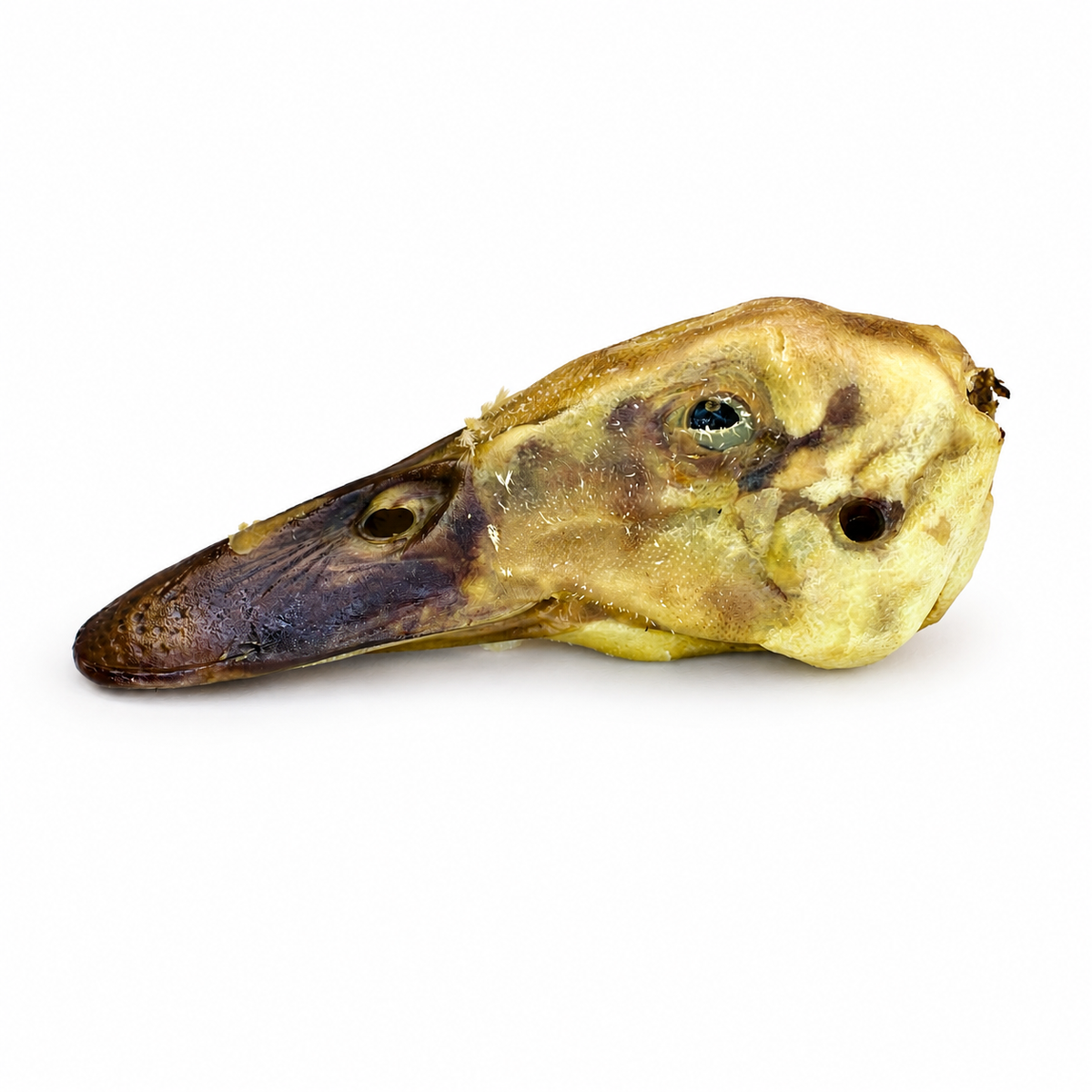 Duck Head