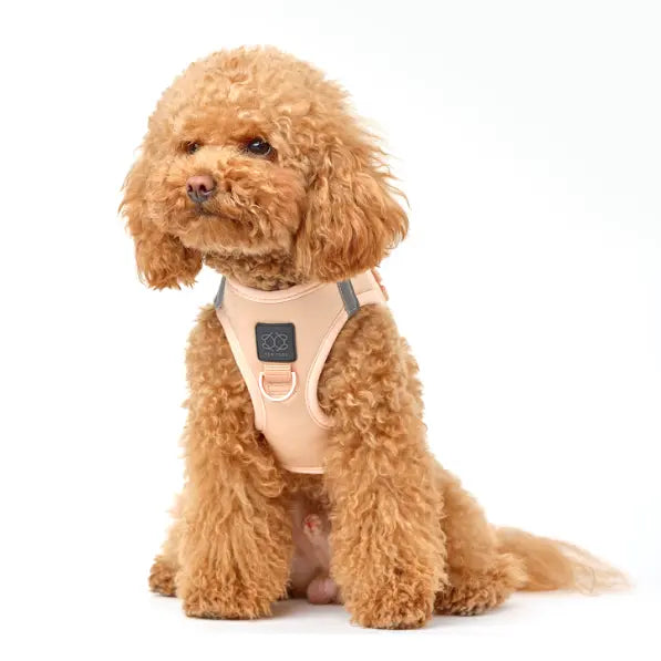 SoHo Dog Harness - Dune