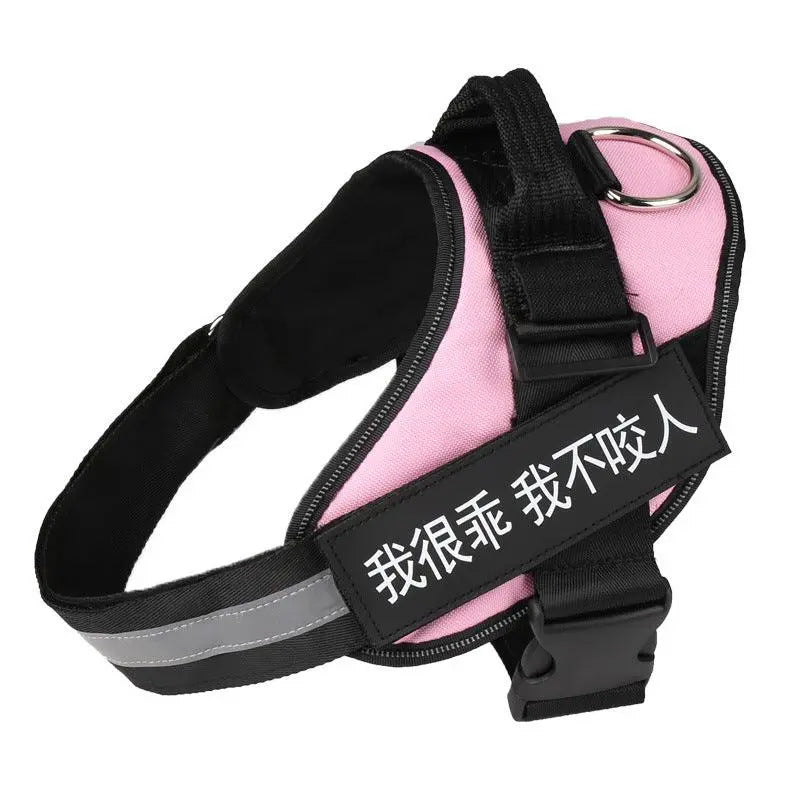Ultimate Pet Adventure Set: Adjustable Chest Harness With Dog Leash Dog Hugs Cat