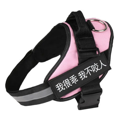 Ultimate Pet Adventure Set: Adjustable Chest Harness With Dog Leash Dog Hugs Cat