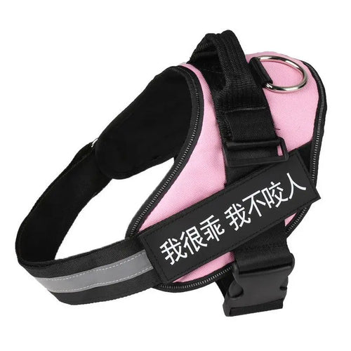 Ultimate Pet Adventure Set: Adjustable Chest Harness With Dog Leash