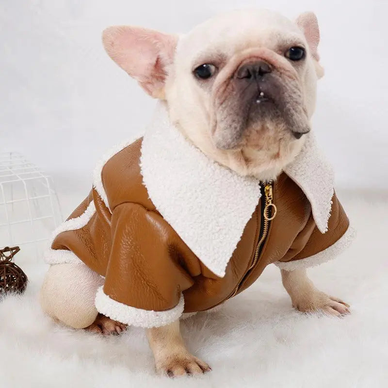 Plush Zipper Warm Faux Leather Dog Jacket Dog Hugs Cat