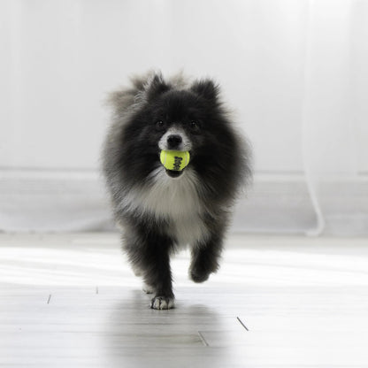 ® Squeakair® Balls Dog Toy, XS, 3-Pack