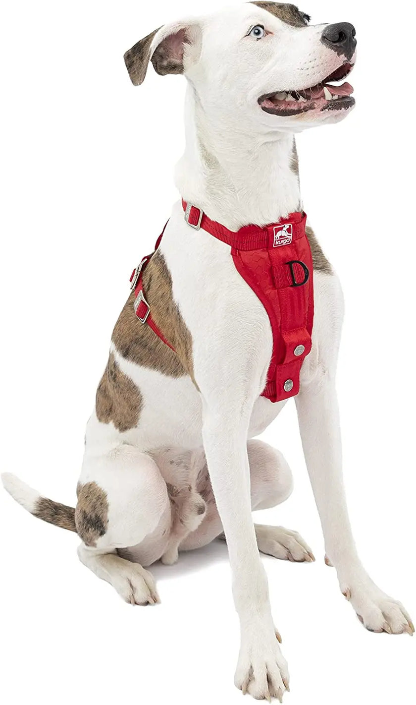 Enhanced Strength Tru-Fit Dog Car Harness - Crash Tested for Safety - Broad Chest Plate - All Steel Nested Buckles - Includes Seatbelt Tether - Red - Medium