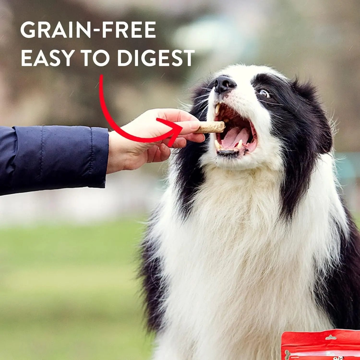 Freeze-Dried Raw Wild Weenies Dog Treats - High-Protein Training Treats for Dogs & Puppies - All-Natural Bacon Recipe with 95% Meat & Organs - USA Made - 11 Oz Bag