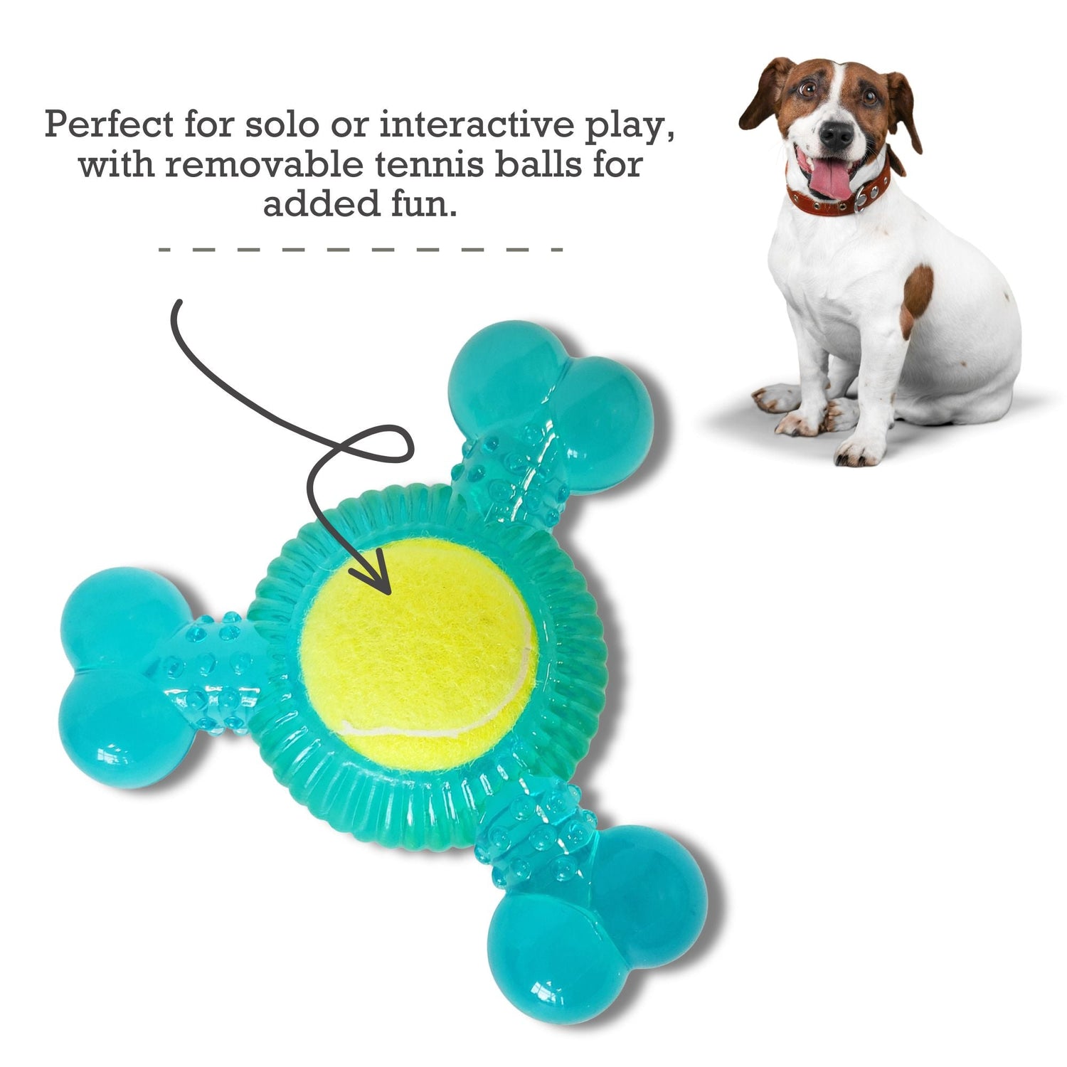 3-Bone TPR Dog Chew Toy with Removable Squeaker Balls