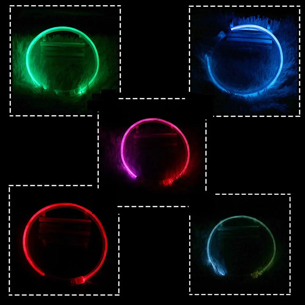 Usb Rechargeable Glow-In-The-Dark Pet Collar With Three Flashing Modes Dog Hugs Cat