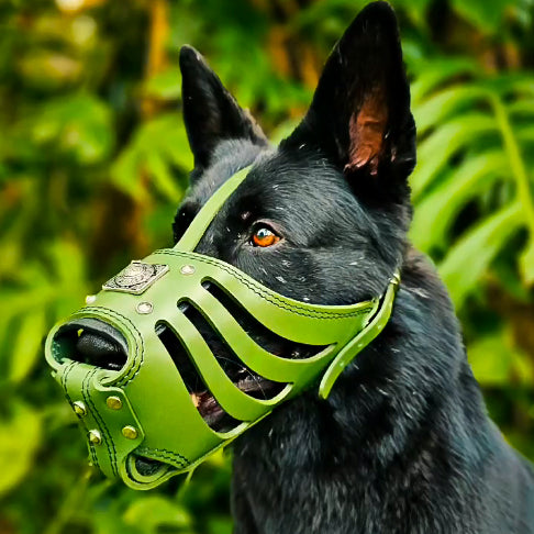 Bestia Eros Leather Basket Muzzle – Green