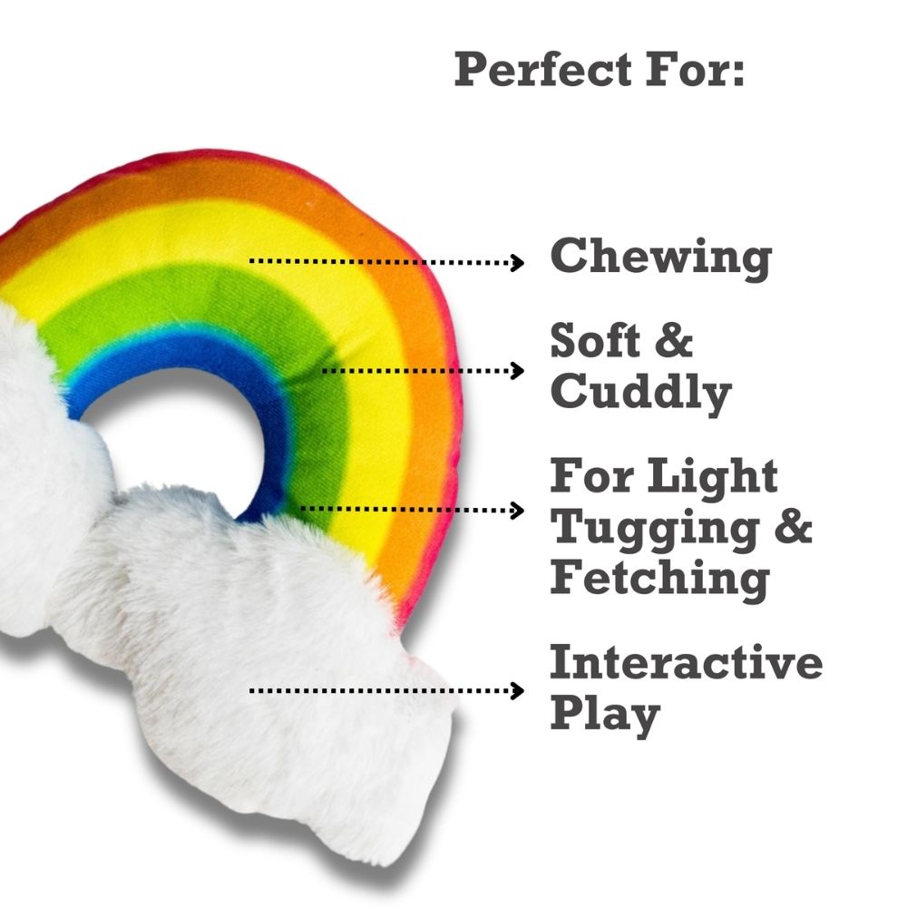 Magical Rainbow Plush Dog Toy with Squeaker & Crinkle