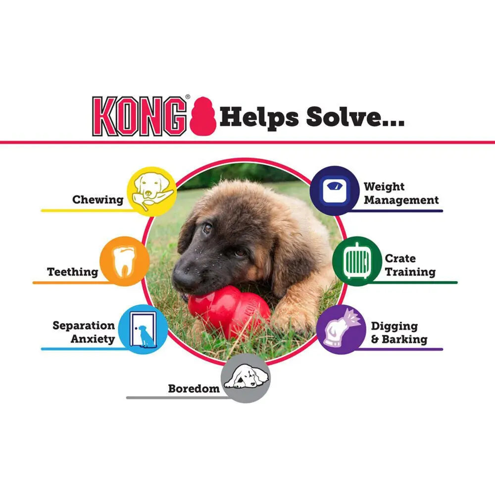 KONG Classic LARGE Durable Fetch & Chew Dog Toy Treat Stuffable 4X2.75"