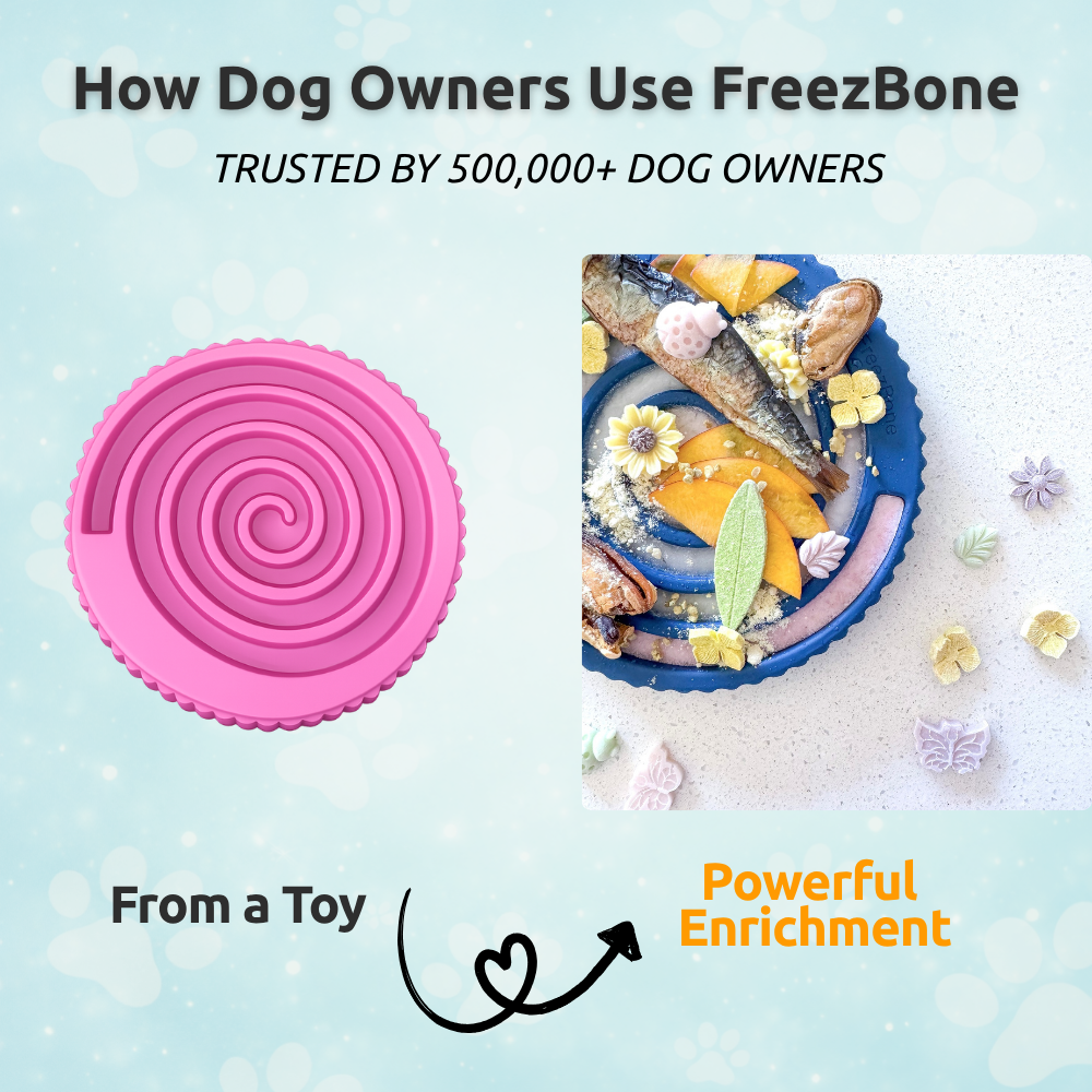Family Value Bundle - Best Value for Multi-Dog Homes