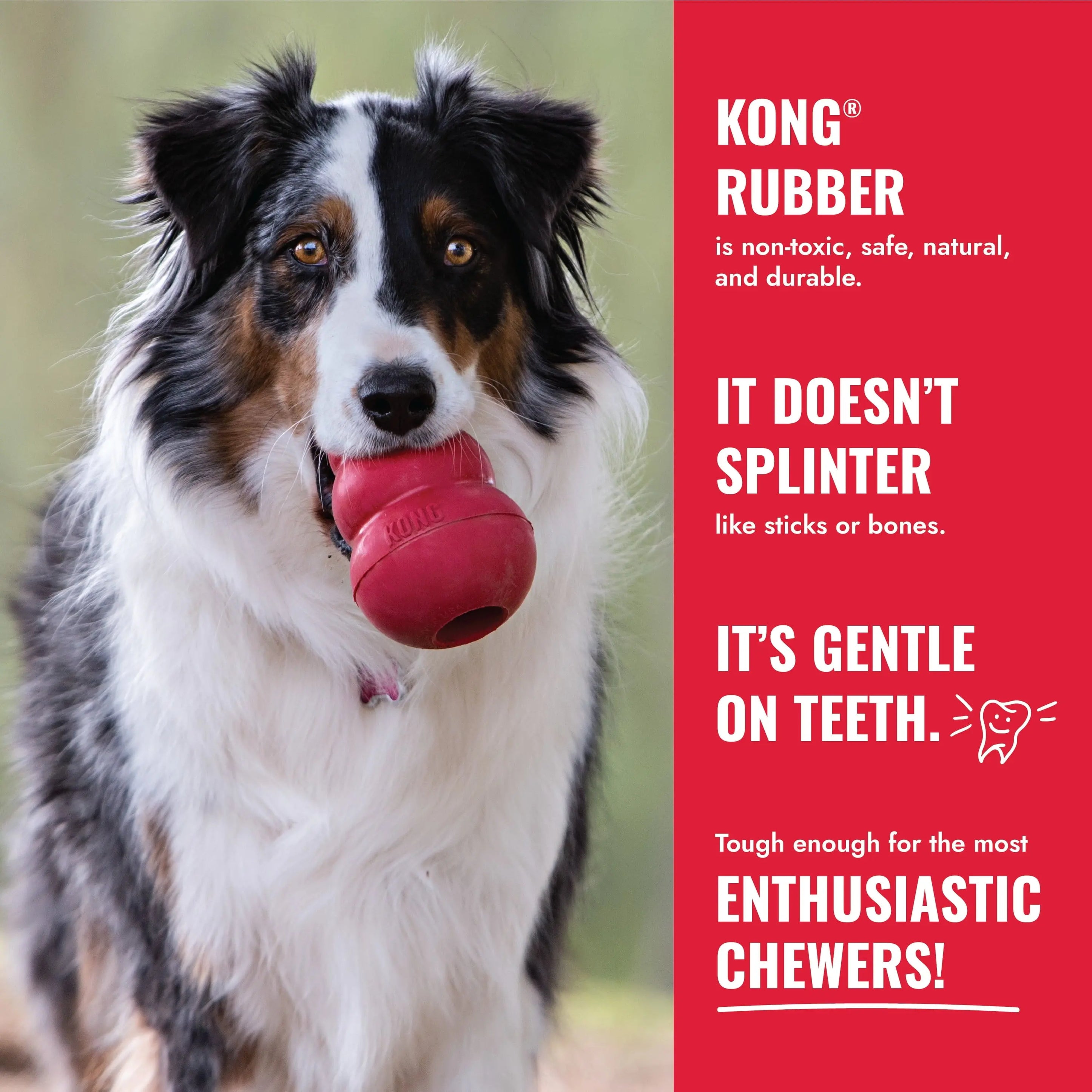 ® Classic Stuffable Dog Chew Toy, Medium