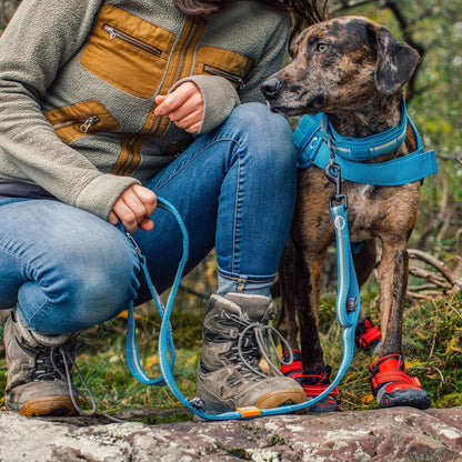 Rsg Stub Leash for Dogs | Adjustable Dog Leash | Hands Free Dog Leash for Walking, Jogging, or Running | Customizable Molle-Compatible Pet Lead | Training Handle | Web Keeper | Reflective | 48”