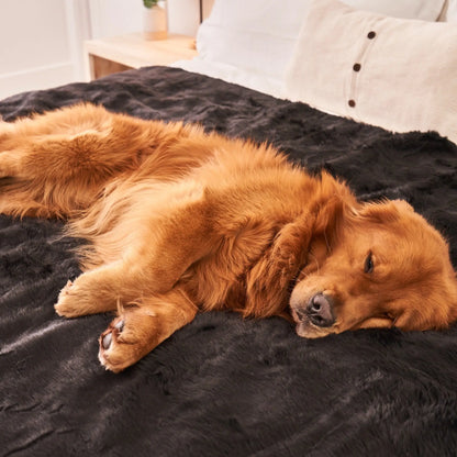 PupProtector™ Summer Short Fur Waterproof Throw Blanket - Midnight Black Paw.com