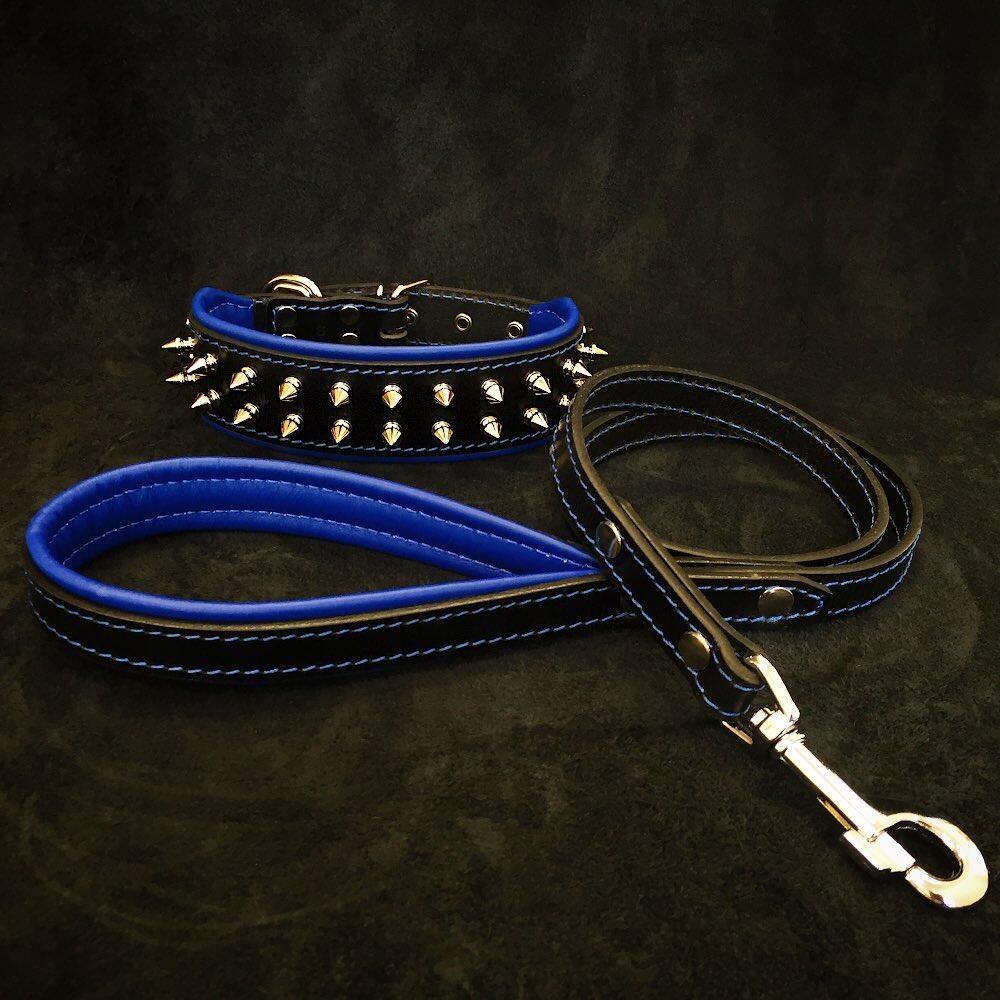 Bestia Frenchie Leather Collar & Leash Set – Blue