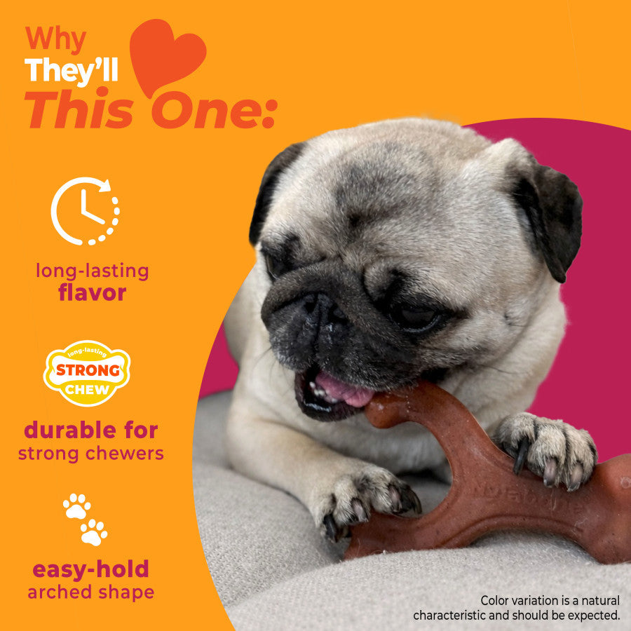 Nylabone Strong Chew Wishbone Dog Chew Toy Made with Real Bacon, Small (1 ct)