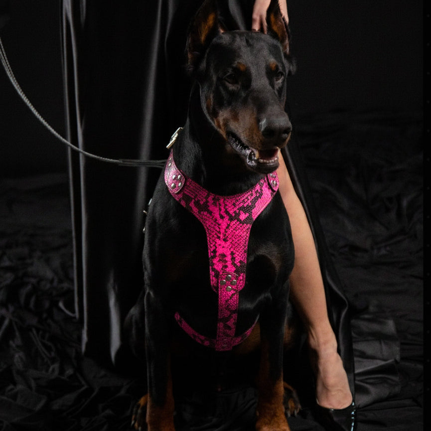 Bestia Rock Python Leather Dog Harness – Pink