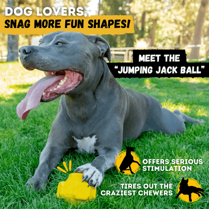 Giant Ring Ball Monster K9 Dog Toys