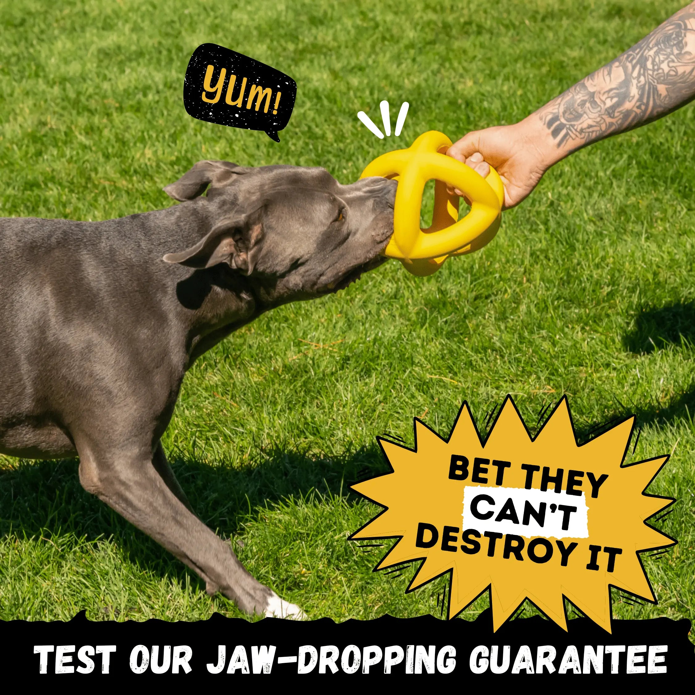 Giant Ring Ball Monster K9 Dog Toys