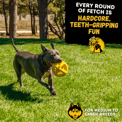 Giant Ring Ball Monster K9 Dog Toys