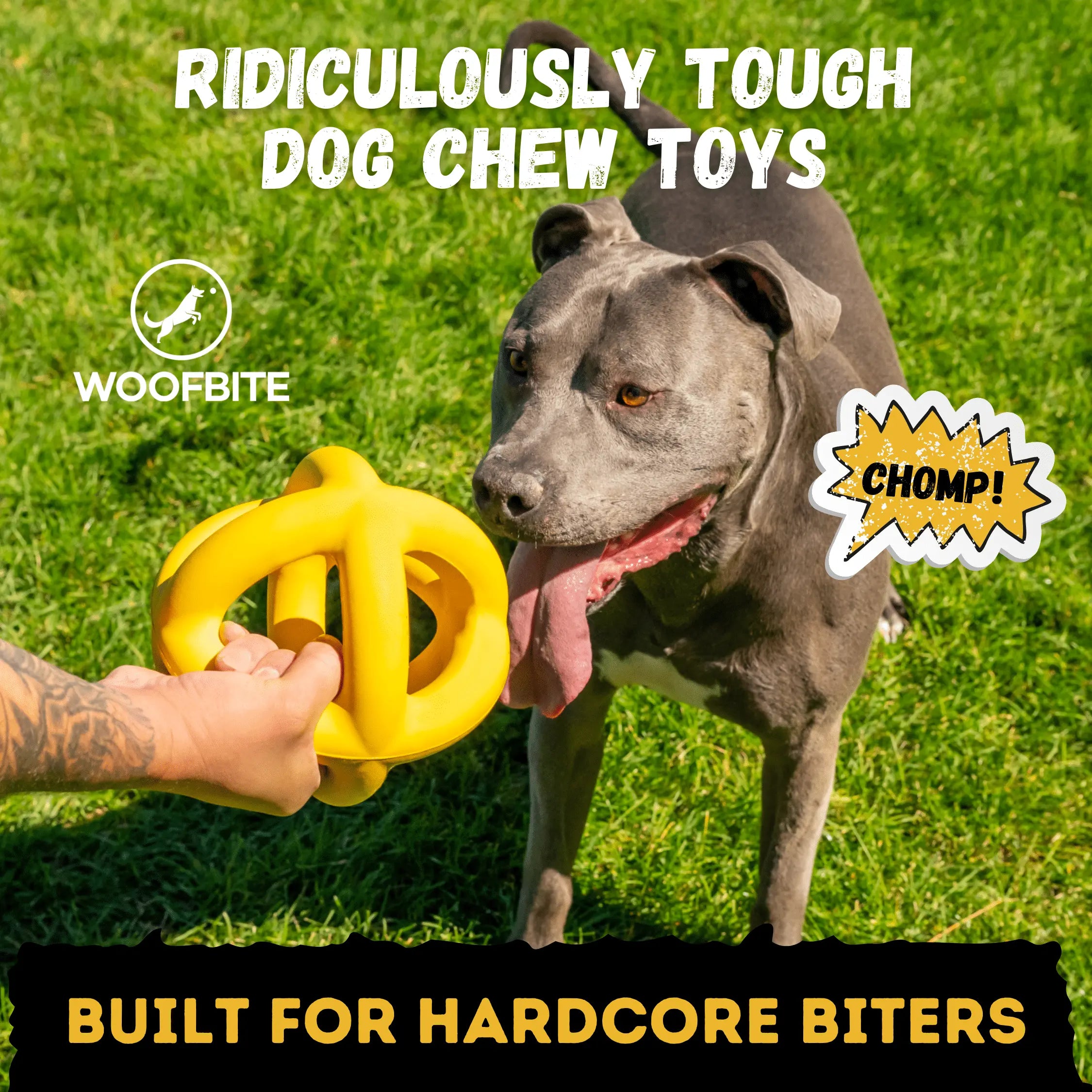 Giant Ring Ball Monster K9 Dog Toys