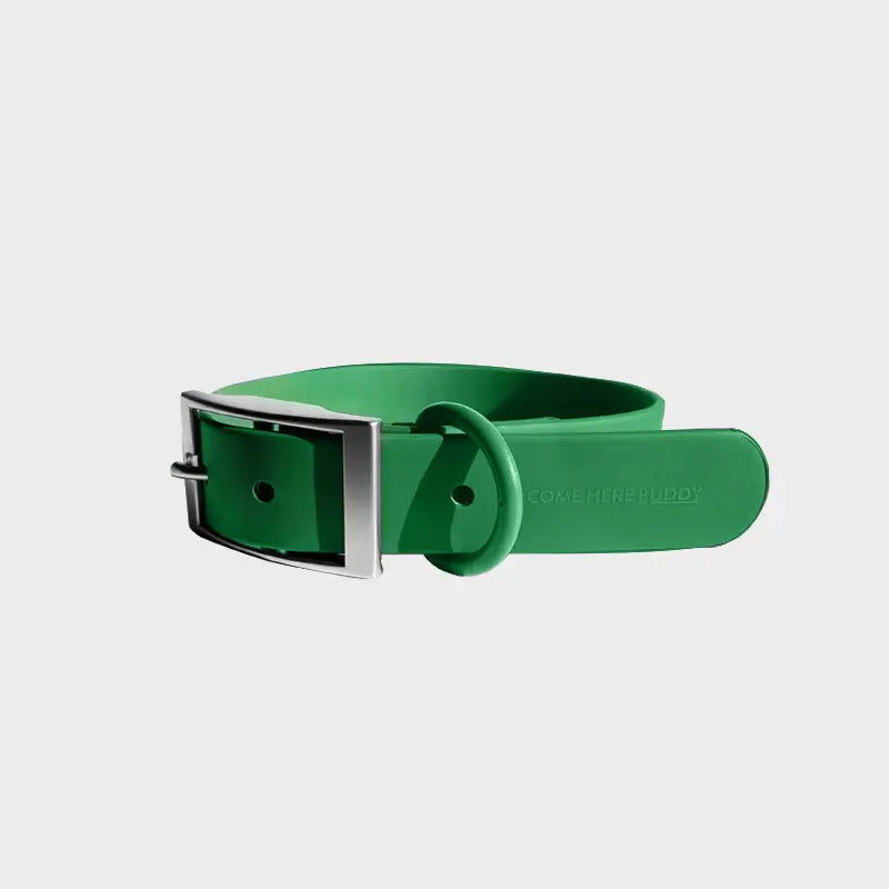 Everyday Collar - K9 Outdoors