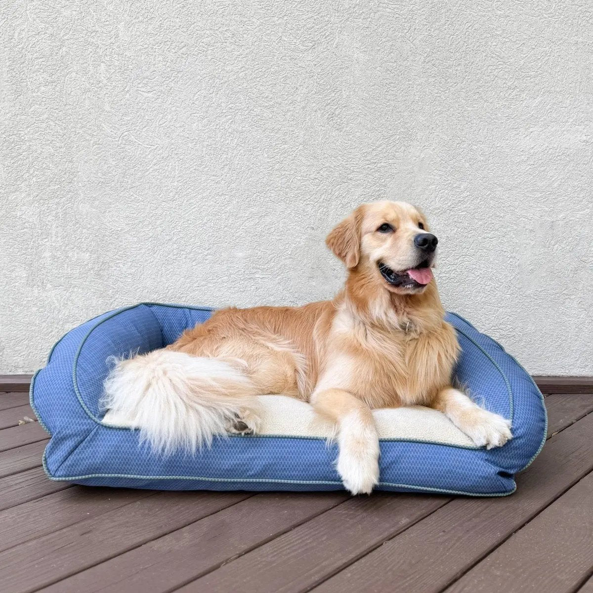 GreenDog Checkered Wave Bolster Bed K9 Outdoors