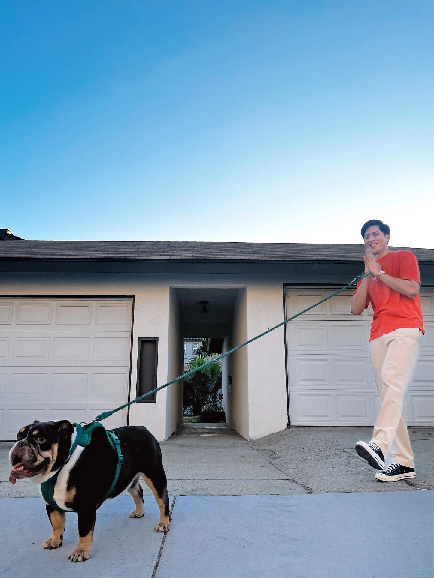 Kismet Dog Leash - K9 Outdoors