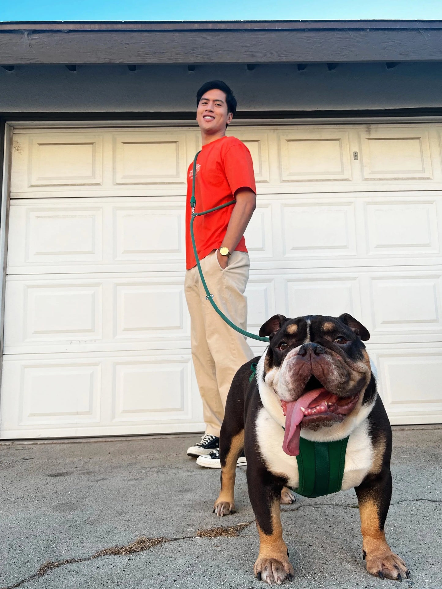 Kismet Dog Leash - K9 Outdoors
