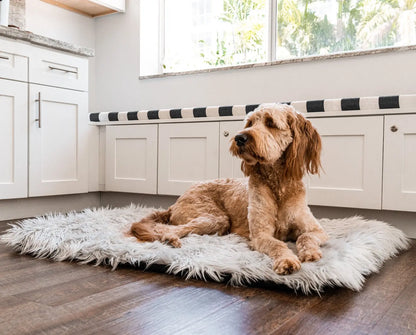 PupRug by Paw.com™ Portable Orthopedic Dog Bed - Grey Paw.com