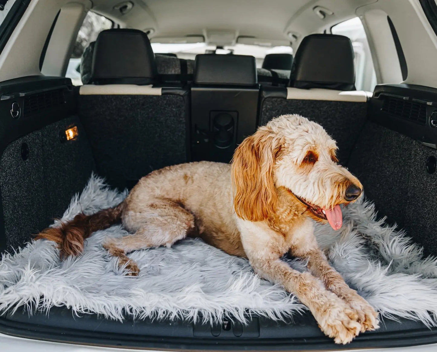 PupRug by Paw.com™ Portable Orthopedic Dog Bed - Grey Paw.com