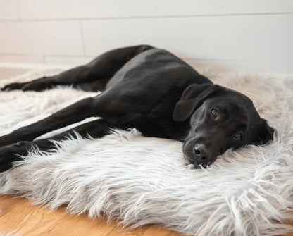 PupRug by Paw.com™ Faux Fur Orthopedic Dog Bed - Rectangle Grey Paw.com