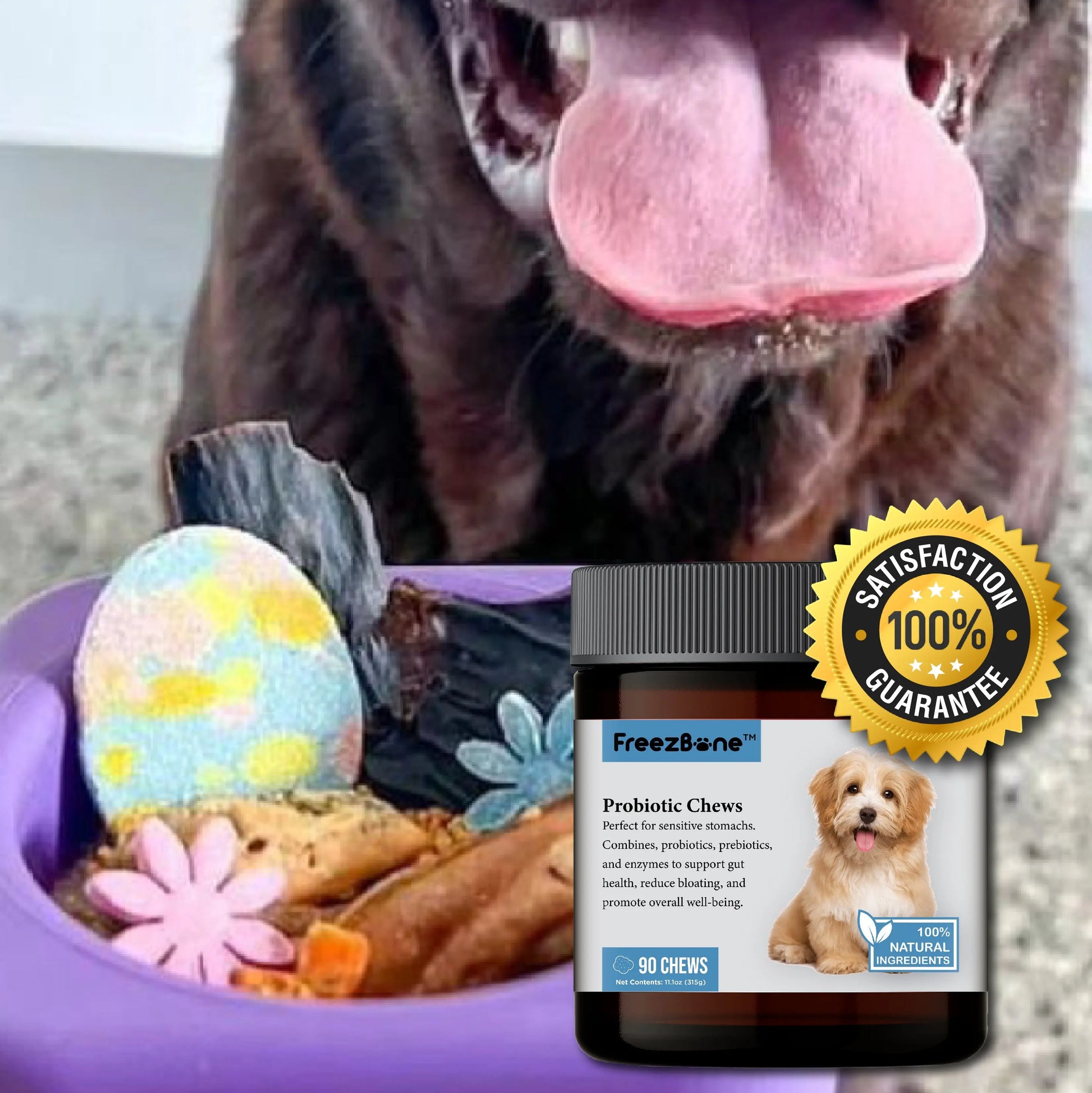 Probiotic Chews (90 Chews) Freezbone