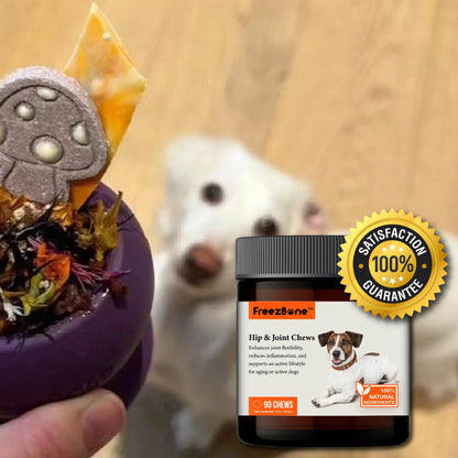 Hip & Joint Chews (90 Chews) Freezbone