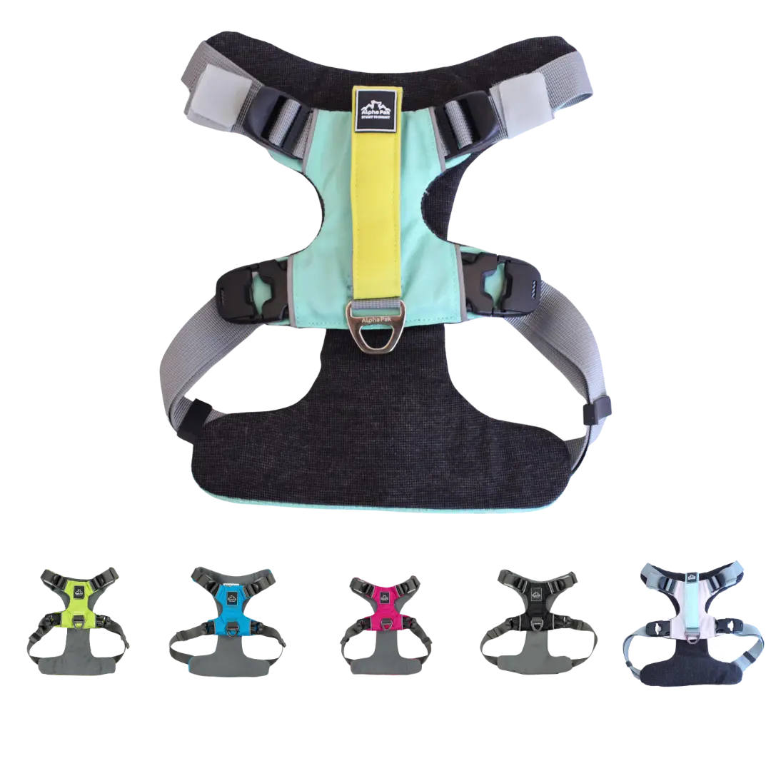 Everyday Adventure Dog Harness Alpha Pak