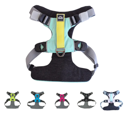 Everyday Adventure Dog Harness Alpha Pak