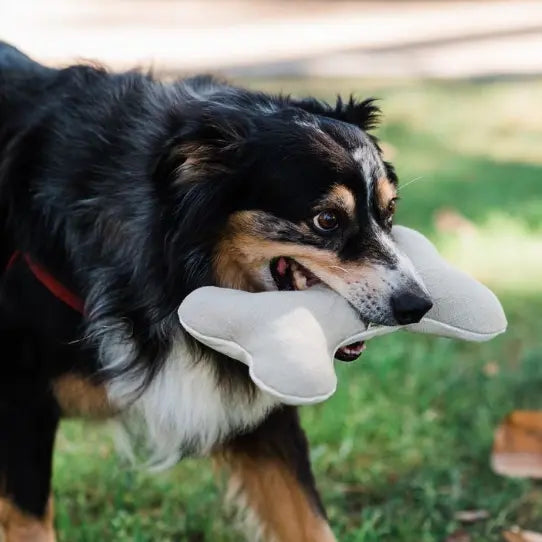 Plush Hemp Dog Toy Bone for Gentle Chewers | Boba & Vespa