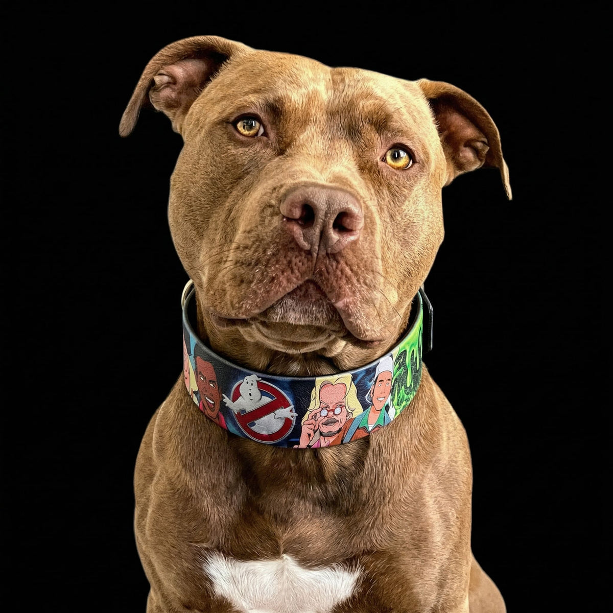 Bestia Ghostbuster Leather Dog Collar – Limited Edition