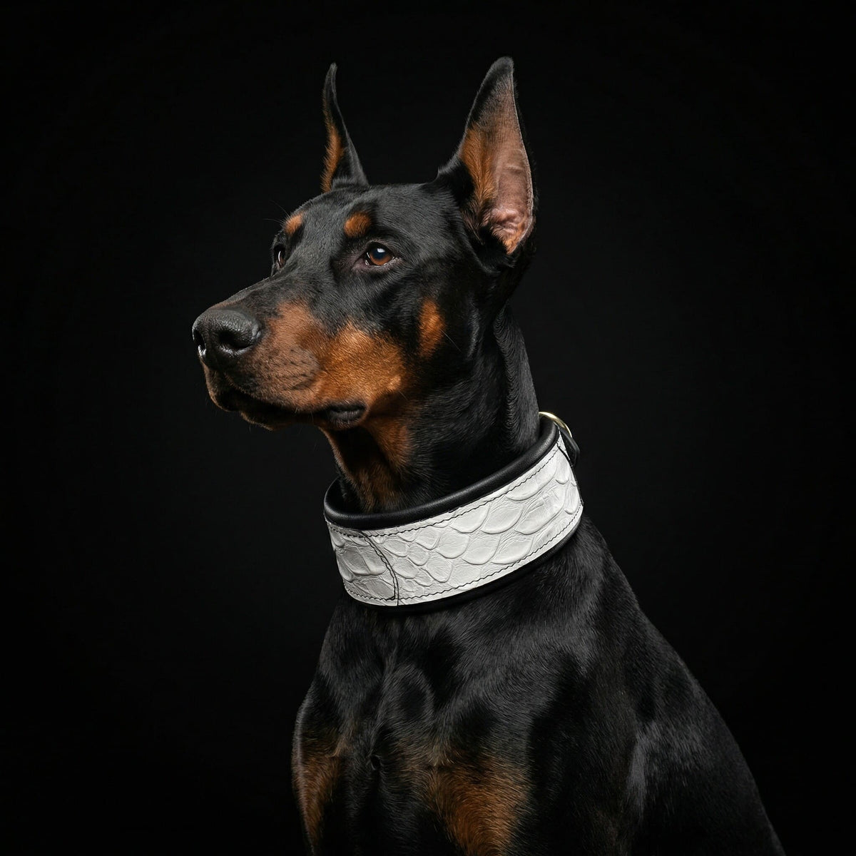 Bestia Dragon Scale Leather Dog Collar – Limited Edition