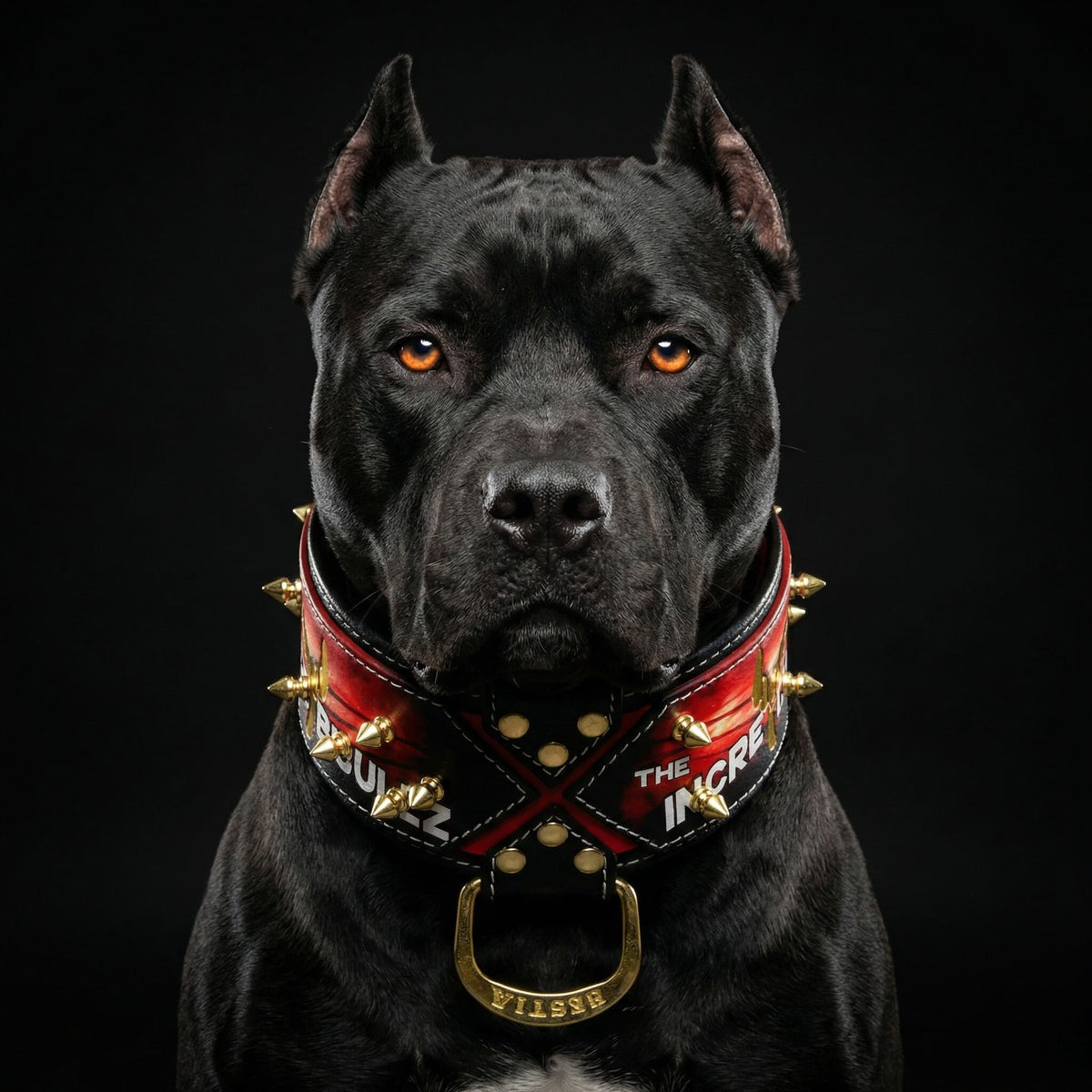 Bestia Royalty Leather Dog Collar