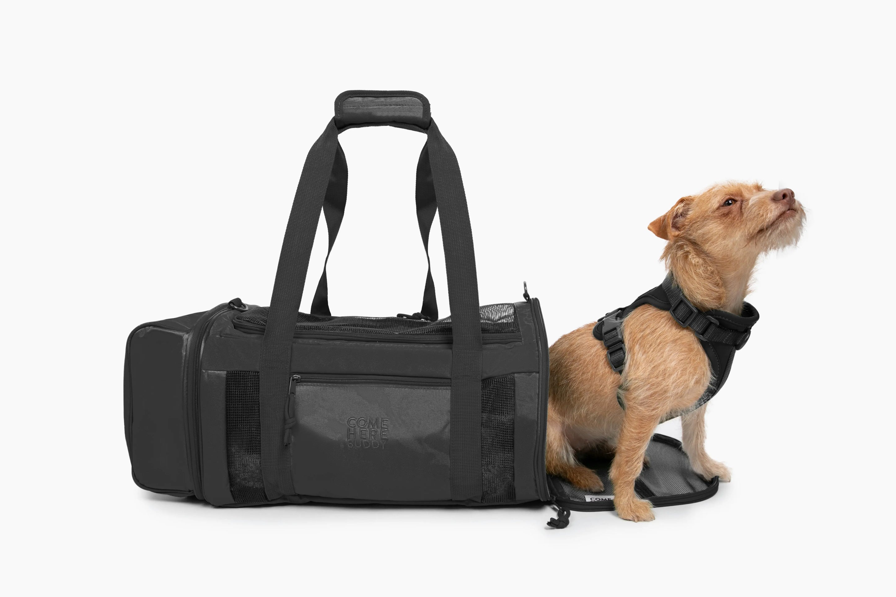 Travel Buddy - Pet Carrier - K9 Outdoors