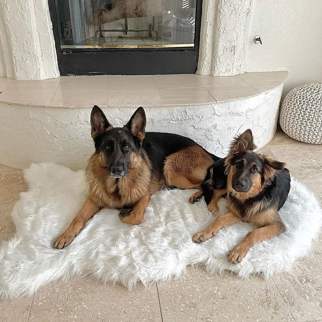 PupRug by Paw.com™ Faux Fur Orthopedic Dog Bed - Curve Polar White Paw.com