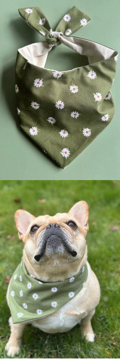 Daisy Dog Bandana Happy Tails Outfitters